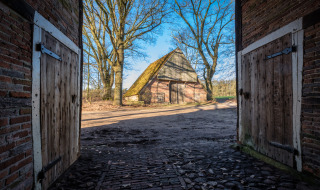 Vista a través de una puerta de granero abierta hacia una construcción tradicional en un parque de glamping.