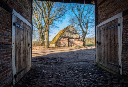 Vista a través de una puerta de granero abierta hacia una construcción tradicional en un parque de glamping.