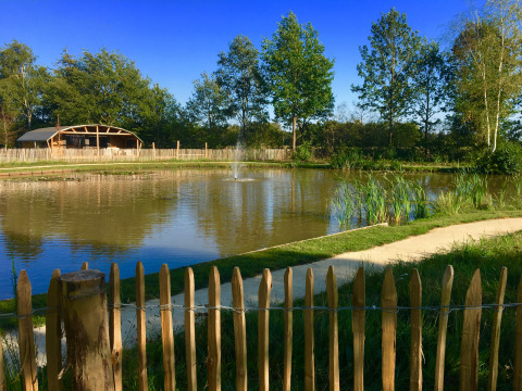 Uitzicht op een rustige vijver met fontein, bomen en houten lodge bij Holiday Park 't Rheezerwold.