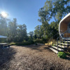 Anthropod