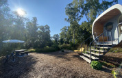 Antropod