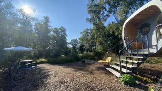 Anthropod