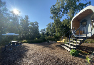 Zonnige dag bij Holiday Park 't Rheezerwold in Overijssel met moderne accommodatie, fietsen en picknicktafel.