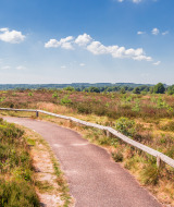 Hiking trail, Sallandse Heuvelrug, Utrecht, Netherlands