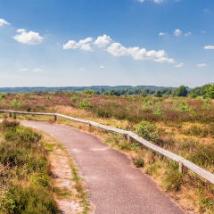 Ruta de senderismo, Sallandse Heuvelrug, Utrecht, Países Bajos