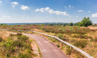Ruta de senderismo, Sallandse Heuvelrug, Utrecht, Países Bajos