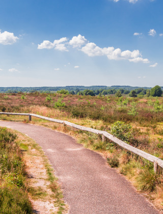 Ruta de senderismo, Sallandse Heuvelrug, Utrecht, Países Bajos