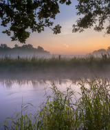Río tranquilo al amanecer con niebla y vegetación, visto desde un parque vacacional con glamping incluido.