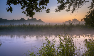 Río tranquilo al amanecer con niebla y vegetación, visto desde un parque vacacional con glamping incluido.