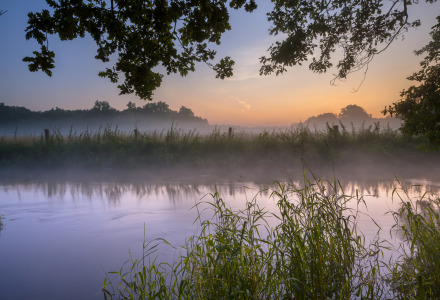 Río tranquilo al amanecer con niebla y vegetación, visto desde un parque vacacional con glamping incluido.