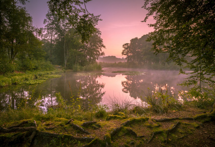 Lago tranquilo rodeado de bosque al atardecer, ideal para hacer glamping en un parque vacacional.