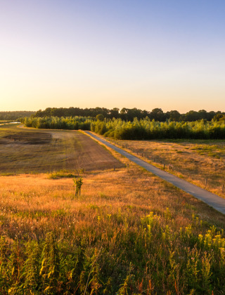 Landschapsfoto van een vakantiepark met glamping, weilanden, rivier en bos bij zonsondergang.