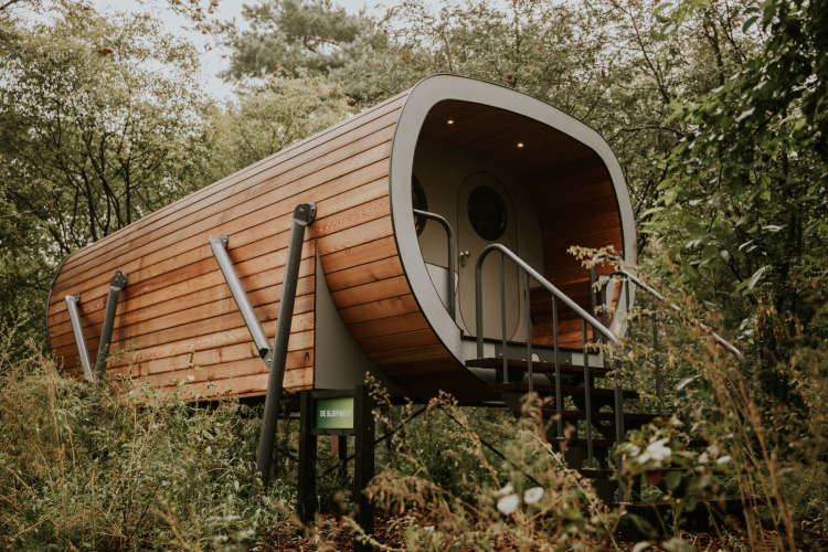 Anthropod - Camping Si-Es-An - Balkbrug, Overijssel, Pays-Bas