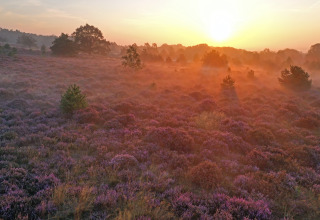 Rising sun, Holterberg, Overijssel, Netherlands