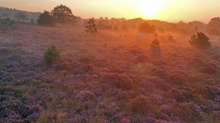 Sol naciente, Holterberg, Overijssel, Países Bajos