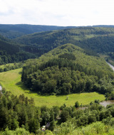 Forest and river Ardennes - Vodatent - Camping Village Sy - Sy - Ardennes - Belgium