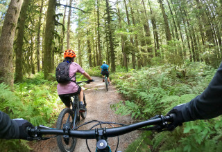 Ciclismo - Vodatent - Campingpark de Vuurkuil - Hulshorst - Gelderland - Países Bajos