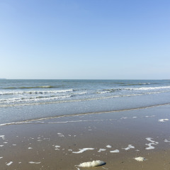 Playa tranquila con olas suaves y espuma en la arena bajo cielo azul cerca del glamping de un parque vacacional.