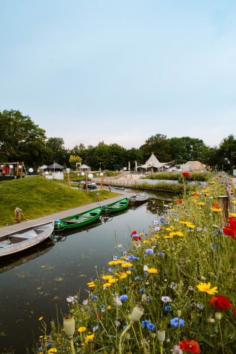 Fiori colorati e barche vicino al canale al Holiday Park Mölke, Overijssel, Paesi Bassi in estate.