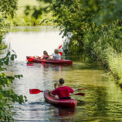Des familles font du kayak rouge sur un canal verdoyant au Holiday Park Mölke, à Overijssel, aux Pays-Bas.