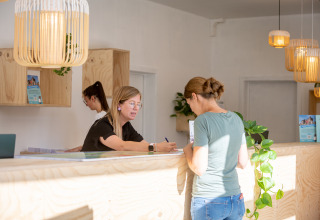 Receptie van Urban-Gardens vakantiepark in Oost-Vlaanderen met gasten en personeel bij de balie.