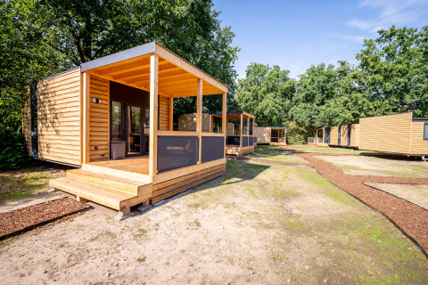 Moderne houten huisjes in Urban-Gardens vakantiepark in Oost-Vlaanderen, België, tussen het groen.