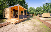 Moderne træhytter i ferieparken Urban-Gardens i Østflandern, Belgien, omgivet af grønne træer.