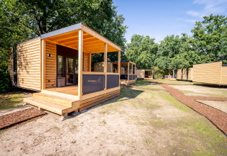 Moderne Holzhütten im Urban-Gardens Ferienpark in Ostflandern, Belgien, umgeben von viel Natur.