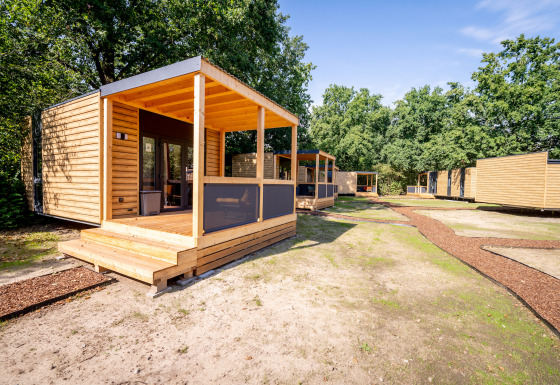 Moderne casette in legno nel parco vacanze Urban-Gardens nelle Fiandre orientali, Belgio, tra gli alberi.