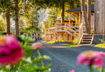 Sunlit view of Edelweiss lodge with wooden cabins surrounded by trees, flowers, and a gravel path.