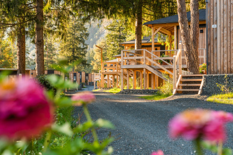 Vue ensoleillée du lodge Edelweiss, cabanes en bois, fleurs colorées et arbres majestueux alentour.