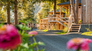 Sonnige Aussicht auf die Edelweiss-Lodge mit Holzhütten, Blumen und grüner Natur im Hintergrund.
