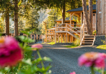 Zonnig uitzicht op Edelweiss-lodge met houten huisjes, bloemen en een pad tussen de bomen.