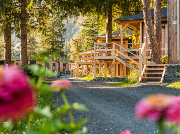 Zonnig uitzicht op Edelweiss-lodge met houten huisjes, bloemen en een pad tussen de bomen.