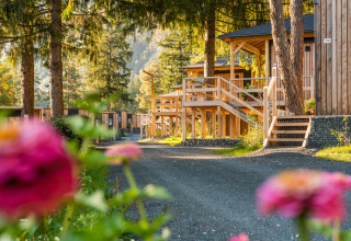 Vue ensoleillée du lodge Edelweiss, cabanes en bois, fleurs colorées et arbres majestueux alentour.