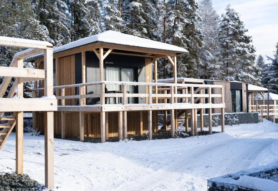 Chalets en bois du lodge Edelweiss sous la neige, fenêtres vitrées, terrasse surélevée et forêt derrière.