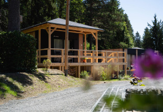 Foto di una baita in legno presso Edelweiss Lodge, circondata da alberi e fiori in primo piano.