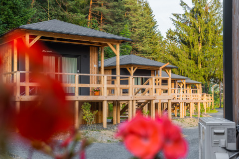 Cabañas de madera elevadas en el lodge Edelweiss, rodeadas de árboles verdes y flores en primer plano.