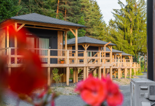 Cabañas de madera elevadas en el lodge Edelweiss, rodeadas de árboles verdes y flores en primer plano.