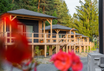 Houten chalets op stelten bij Edelweiss lodge, omgeven door groen en bloemen op de voorgrond.
