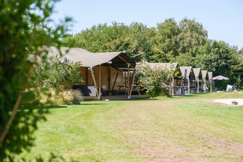 Row of luxury tents at Kampeerdorp de Zandstuve holiday park, surrounded by greenery in Overijssel, Netherlands.