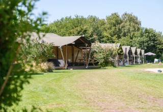 Row of luxury tents at Kampeerdorp de Zandstuve holiday park, surrounded by greenery in Overijssel, Netherlands.