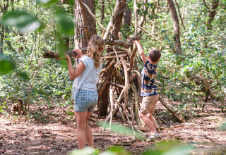 Due bambini costruiscono una capanna con i rami nel bosco a Kampeerdorp de Zandstuve, Overijssel, Paesi Bassi.
