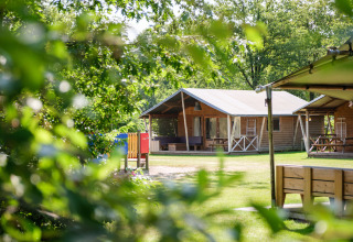 Wooden cabins surrounded by greenery at Kampeerdorp de Zandstuve holiday park in Overijssel, Netherlands.