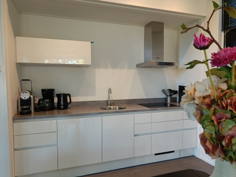 Moderne kitchenette met toestellen en bloemen in de L-Cube 4+2 lodge bij De Utrechtse Heuvelrug, Nederland.