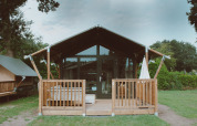 Safari telt Tiny Safari House med terrasse i ferieparken De Boshoek, Holland, omgivet af grønt.