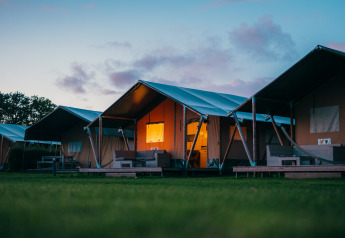 Safaritenten bij Holiday park De Boshoek in Nederland tijdens schemer, verlicht, op een grasveld.