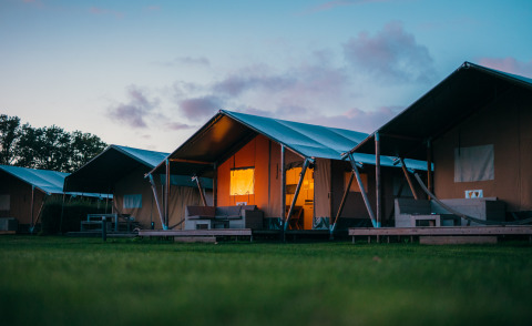 Safari tents at Holiday Park De Boshoek in the Netherlands during dusk, warmly lit, on a grassy lawn.