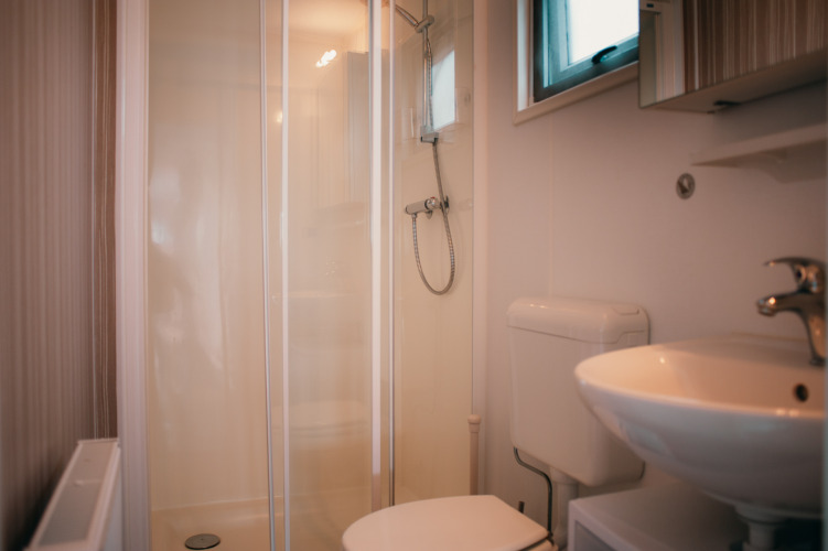 Baño moderno con ducha, inodoro y lavabo en Veluwelodge del Holiday park De Boshoek, Países Bajos.