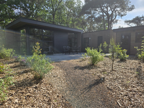Udendørs billede af Forest Park Chalet på Holiday Park De Kleine Belties i Holland med moderne trædesign.